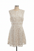 Arose Lace Mini Dress - The Garment Garden Boutique